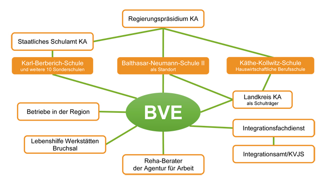 BVE klein